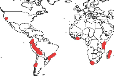Global Bio Diversity Map